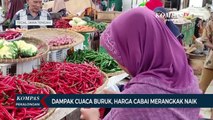 Dampak Cuaca Buruk, Harga Cabai Merangkak Naik