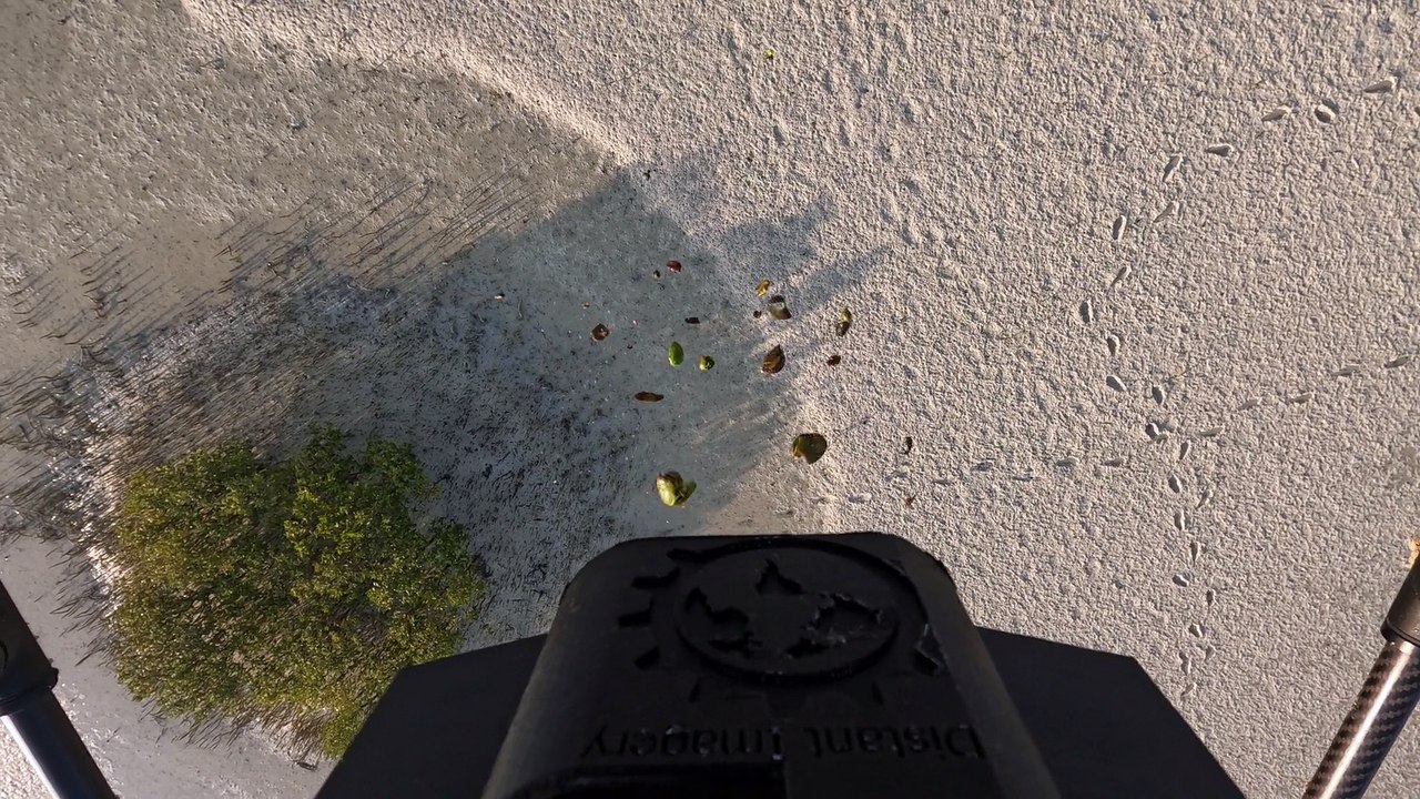 Drone Down Seed Drop