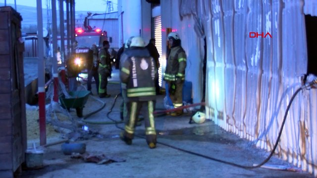 Çatalca'da ahır yandı; 7 büyükbaş hayvan öldü