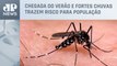 Avanço da dengue no Rio de Janeiro preocupa autoridades