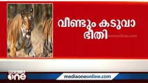 വയനാട് വീണ്ടും കടുവാഭീതി; കടിയേറ്റയാൾ മരിച്ചു