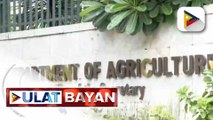 DA, pinagpapaliwanag ng Office of the Ombudsman sa umano'y price manipulation ng sibuyas