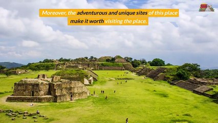 Common Reasons to Plan for the Private Costa Maya Ruins Tour