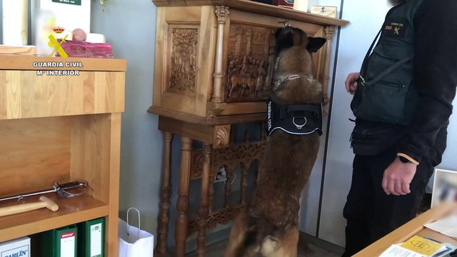 Detenido en Burgos por tenencia ilícita de 22 armas y diversa munición