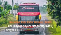 Tahu Kenapa Bus AKAP Punya Dua Sopir Sekaligus? Begini Penjelasannya | SINAU