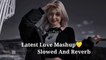 Old vs New Hindi Love Mashup 2023  | Hindi Romantic Song | Lofi Mix Mashup  | Slowed And Reverb
