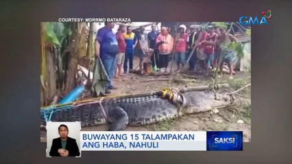 Buwayang 15 talampakan ang haba, nahuli | Saksi