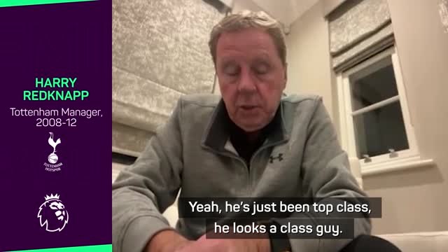 'Top class' Lloris has been 'outstanding' for Spurs - Redknapp