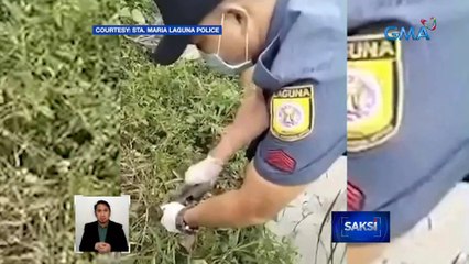 2 ambush suspect, nakipagbarilan pero nasukol din ng mga awtoridad; 2 pa nakatakas | Saksi