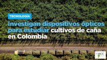 Investigan dispositivos ópticos para estudiar cultivos de caña en Colombia