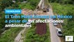El Tren Maya avanza en México a pesar de las afectaciones ambientales
