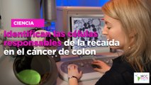 Identifican las células responsables de la recaída en el cáncer de colon