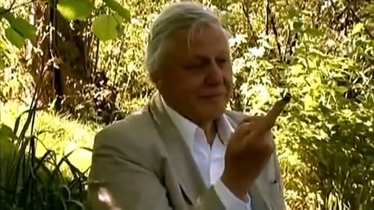 Have I Got News For You - Se42 - Ep09 HD Watch