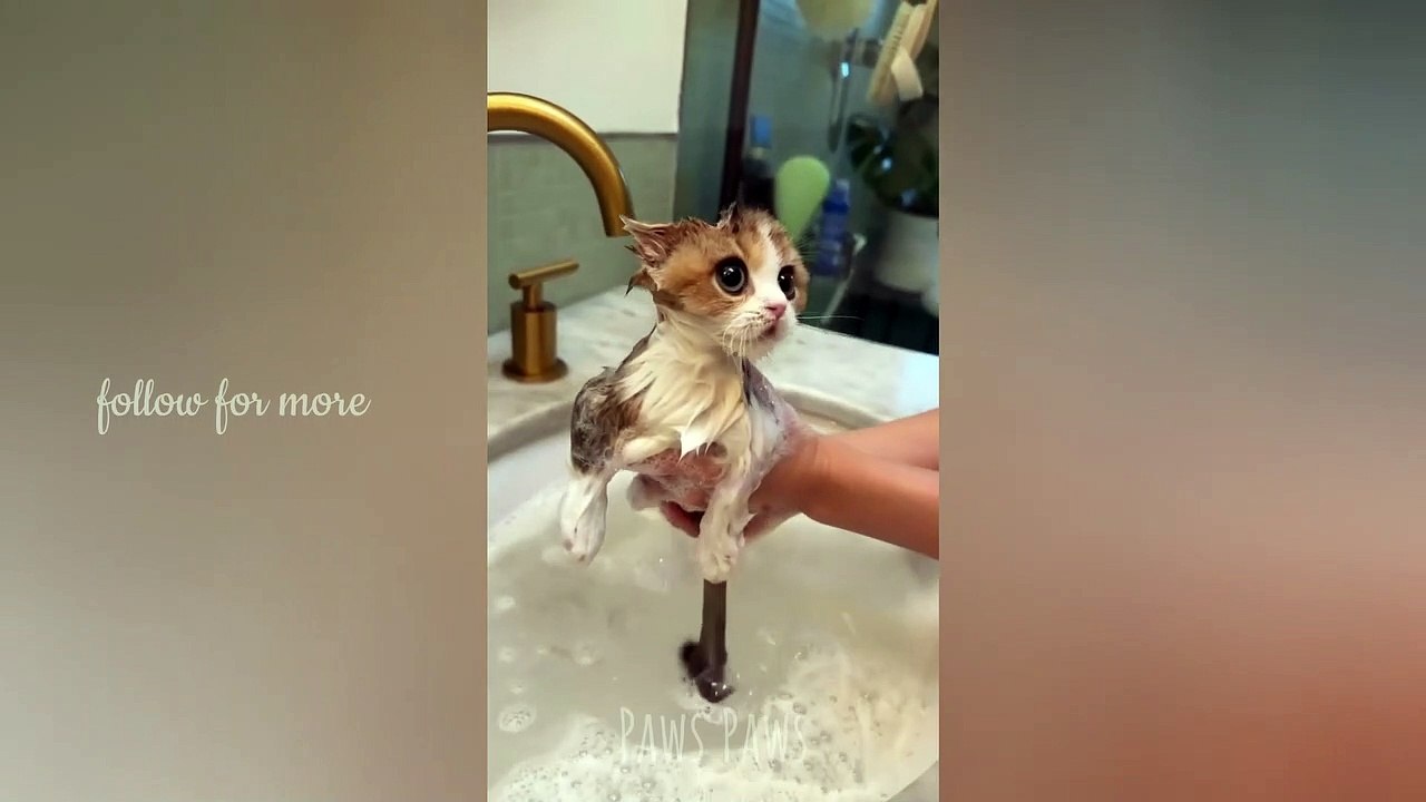 Bath time | So cute!