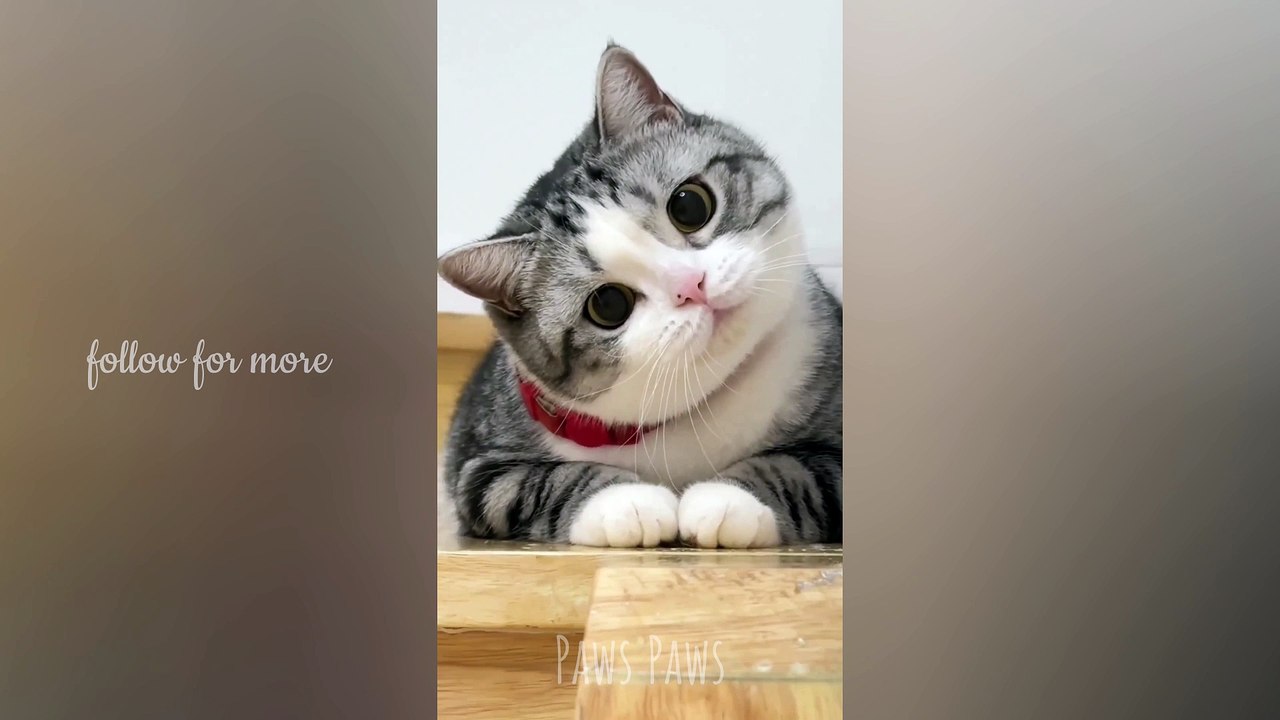 Cuteness overloaded!