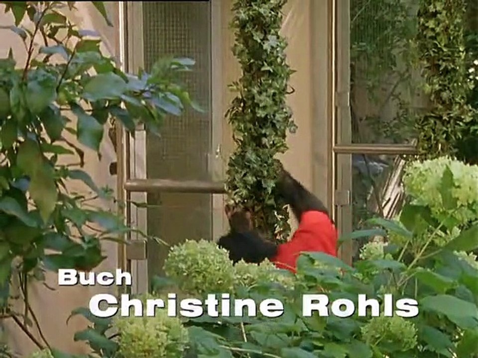 Unser Charly Staffel 11 Folge 11