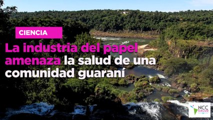 La industria del papel amenaza la salud de una comunidad guaraní