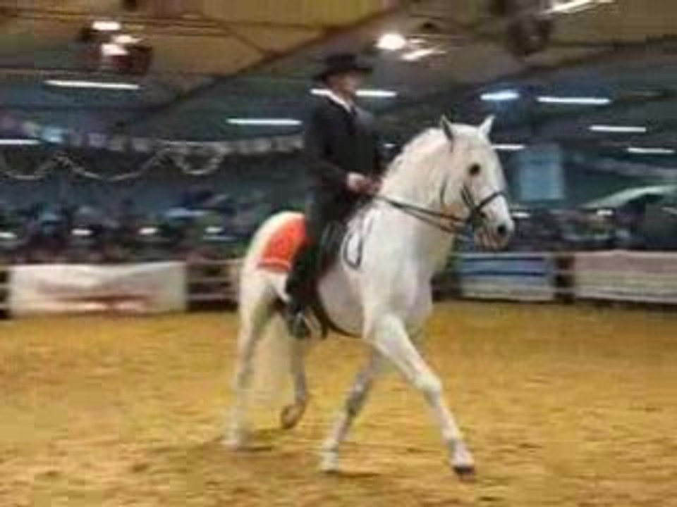 DRESSAGE
