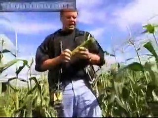 Good Eats - Se2 - Ep14 HD Watch