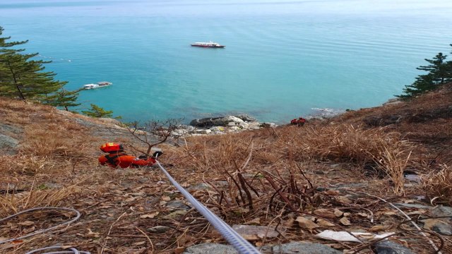 200m 절벽 아래로 승용차 추락...4명 숨져 / YTN