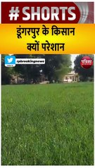 राजस्थान के डूंगरपुर से नील गाय से परेशान किसान