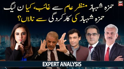 Is PML-N upset with Hamza Shehbaz's performance?