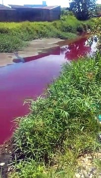 Morador denuncia água vermelha em rio de Joinville