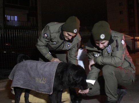Polis ekipleri sokak hayvanlarını besledi