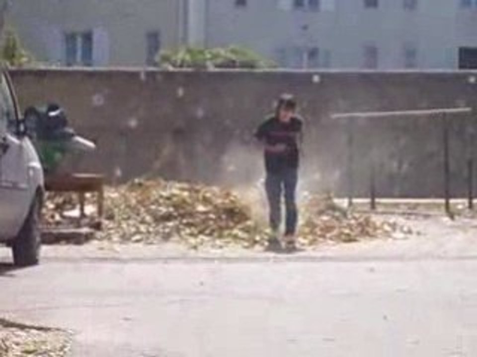 saut dans tas de feuille
