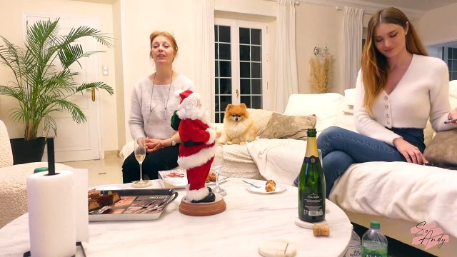 Noël aux urgences + DIY banc de douche (et plein plein plein de niches )