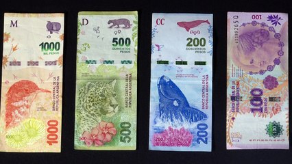 Argentina fechou 2022 com maior inflação registrada em 32 anos