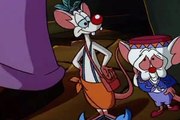 Pinky and the Brain Pinky and the Brain S03 E022 T.H.E.Y.