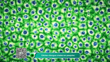 Células ciborgue criadas em pesquisa
