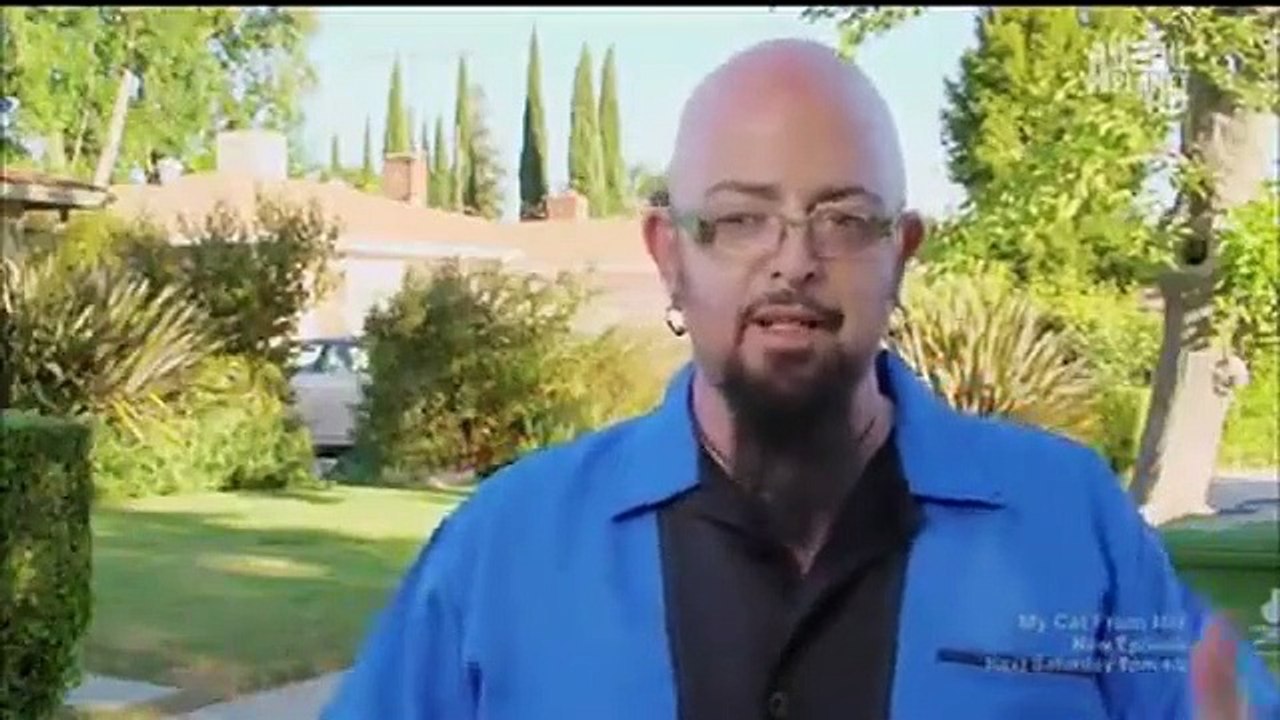 My Cat from Hell - Se3 - Ep04 - Kitty Jail HD Watch