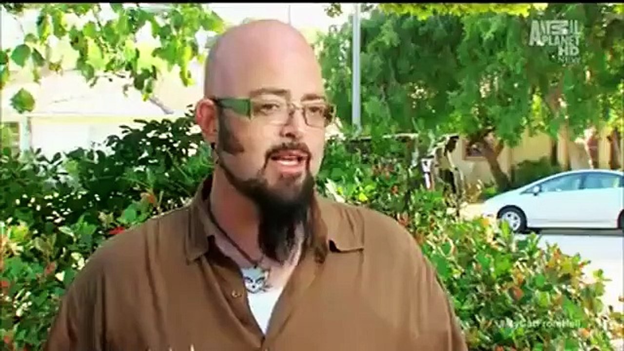 My Cat from Hell - Se3 - Ep07 - My Cat Eats Everything! HD Watch