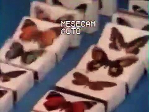 Pub Maroc Allumettes Papillon -Lfaracha- rtm