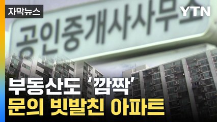 [자막뉴스] "거기 집 있나요?"...서울 부동산에 빗발친 전화 / YTN