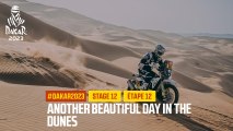 Another beautiful day in the dunes. - Étape 12 / Stage 12 - #Dakar2023