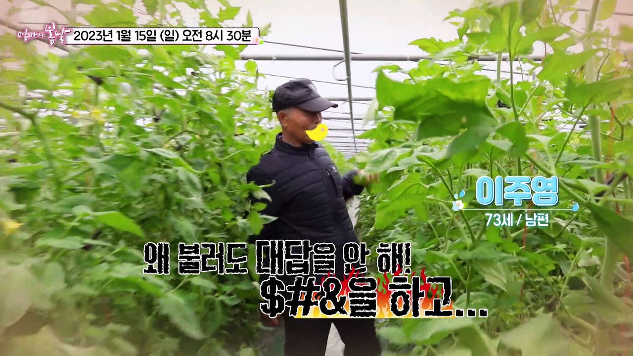 스마일 향자 엄마의 고달픈 인생_엄마의 봄날 383회 예고 TV CHOSUN 2301...