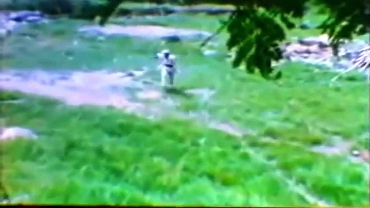 Wiro Sableng II - Orang-Orang Sakti Dari Tangkuban Perahu (1988)