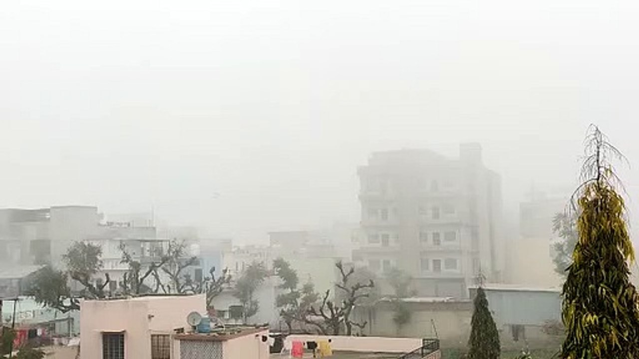 Weather News : प्रदेश में घना कोहरा, गलन ने बढ़ाई ठिठुरन, दोपहर तक दुबका रहा सूरज
