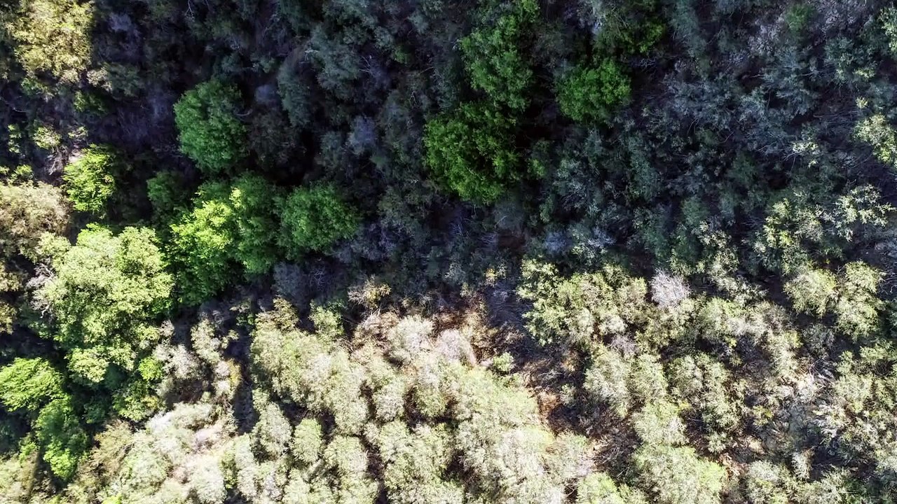 Citizen P.I. - Se1 - Ep01 HD Watch