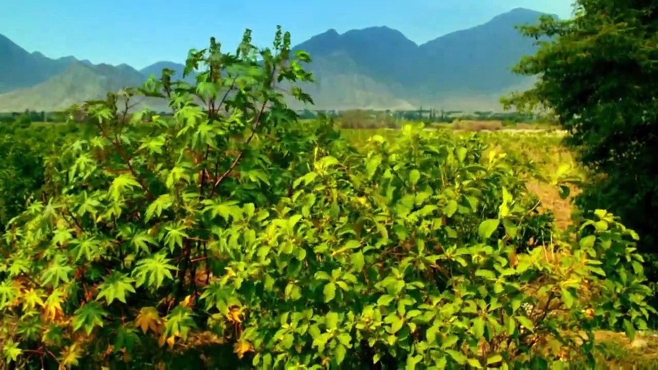 Unearthed (2016) - Se7 - Ep13 - Seven Wonders of The Pyramids HD Watch