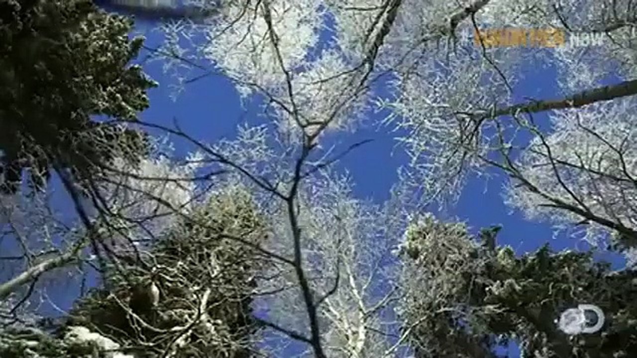 Yukon Men - Se5 - Ep06 HD Watch