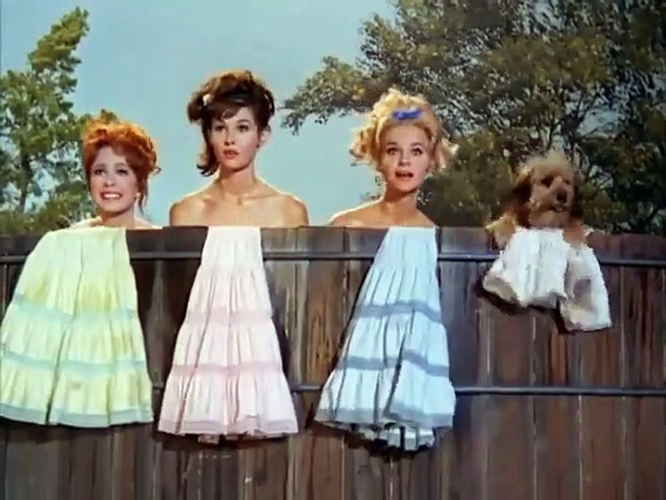 Petticoat Junction - Se3 - Ep05 HD Watch