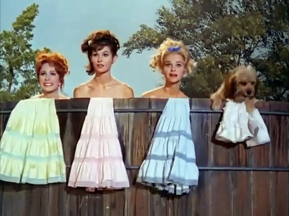 Petticoat Junction - Se3 - Ep09 HD Watch