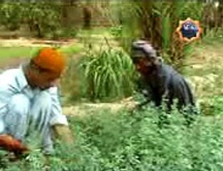 Balochi Film Be Asre Maher Part 1