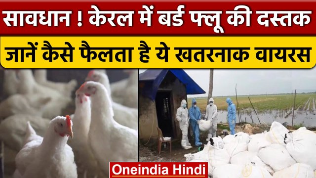 Bird Flu: सावधान! Kerala में बर्ड फ्लू की दस्तक, एक ही दिन में 1800 मुर्गियों की मौत। वनइंडिया हिंदी