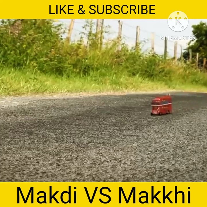 Makdi vs chiti