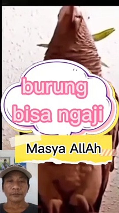 Burung bisa ngaji